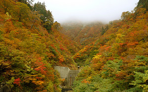 白山スーパー林道